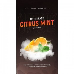 Табак 420 Citrus Mint (Цитрус мята) 250g.