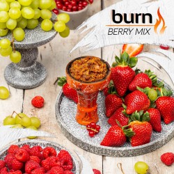 Табак Burn Berry Mix 25g (Малина клубника Виноград)