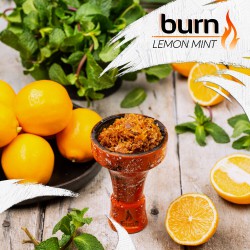 Табак Burn Lemon Mint 100g (Лемон, Мята)
