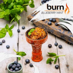 Табак Burn Blueberry Mint 25g (Черника Мята)