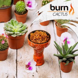 Табак Burn Cactus 25g (Сладкий Кактус)