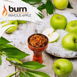 Табак Burn Famous Apple 25g (Зеленое Яблоко Лед)