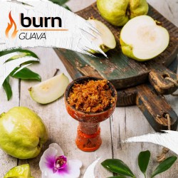 Табак Burn Guava 100g (Гуава)