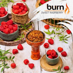 Табак Burn Sweet Raspberry 25g (Малина)