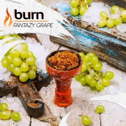Табак Burn Fantazy Grape 25g (Виноград Лед)