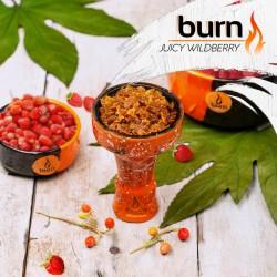 Табак Burn Juice Wildberry 100g (Земляника)