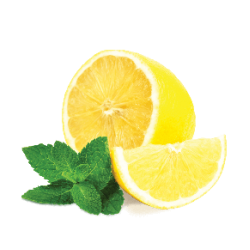 Табак Fumari Lemon Mint 100g (Лимон Мята)