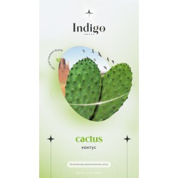 Чайная смесь Indigo New Cactus (Кактус) 100gr