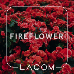 Табак Lagom Main line Fireflower ( Квітковий аромат з нотками спецiй та перцю) 200gr