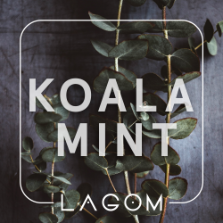 Табак Lagom Main line Koala Mint (Морозний евкаліпт) 200gr