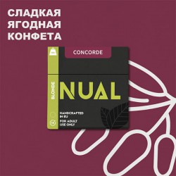 Табак Nual Concorde 100g