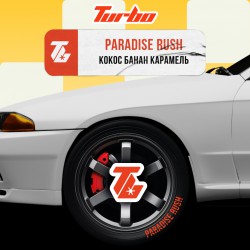 Табак Turbo PARADISE RUSH (Кокос-банан-карамель)  250gr