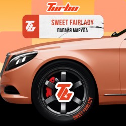 Табак Turbo SWEET FAIRLADY (Папайя-марула) 100gr